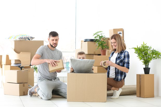 Packers And Movers Noida Sector 13